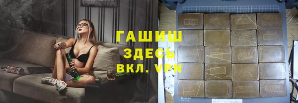 индика Вязьма
