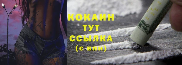 крисы Няндома