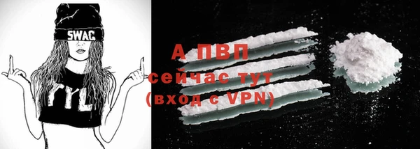 крисы Няндома