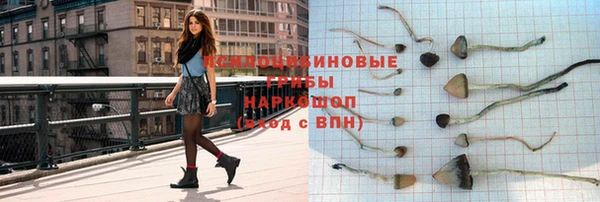 крисы Няндома