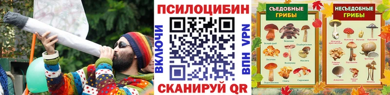 Псилоцибиновые грибы GOLDEN TEACHER  Кирсанов 